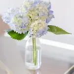 Apartman Boutique Rentals- Bliss By The Sea Apt- Ocean Views In Foz *