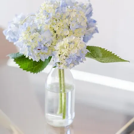 Apartment Boutique Rentals- Bliss By The Sea Apt- Ocean Views In Foz *