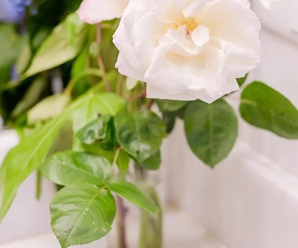 Boutique Rentals- Bliss By The Sea Apt- Ocean Views In Foz *