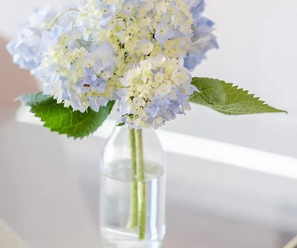 דירה Boutique Rentals- Bliss By The Sea Apt- Ocean Views In Foz *