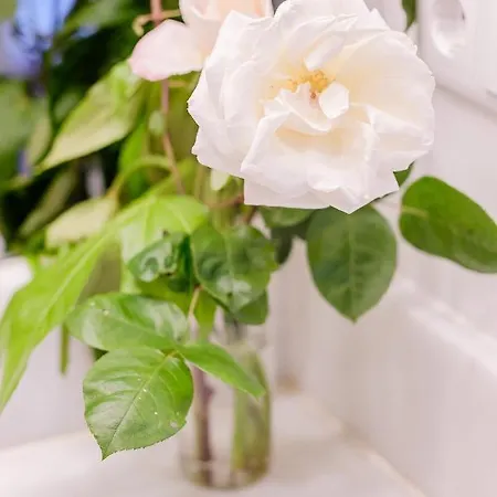 Boutique Rentals- Bliss By The Sea Apt- Ocean Views In Foz *